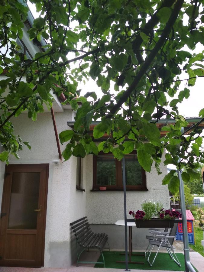 Ubytovani U Babicky Velké Losiny Exterior foto
