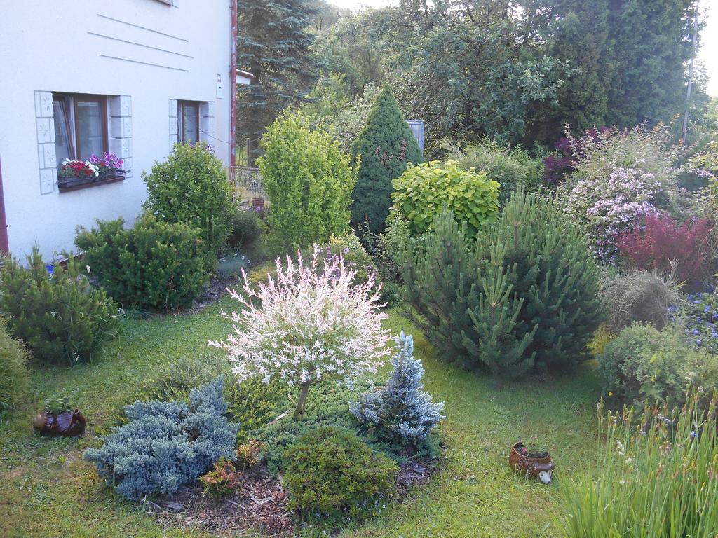 Ubytovani U Babicky Velké Losiny Exterior foto