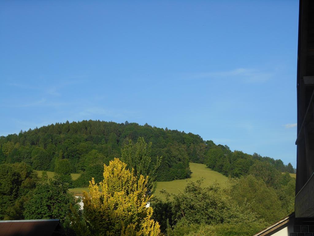 Ubytovani U Babicky Velké Losiny Exterior foto